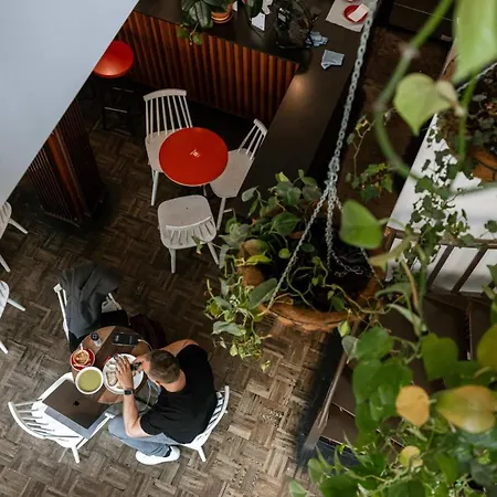 Huswell - The Jungle' In The Heart Of Appartamento